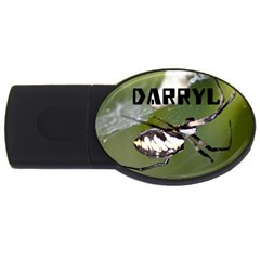 Darryl flash - USB Flash Drive Oval (2 GB)