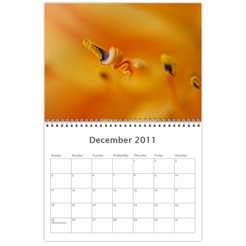 St  Dizier 2011 Calendar Final By Beki St  Dizier Dec 2011