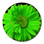 LimeGreen Painted Daisy Mouse Pad - Round Mousepad