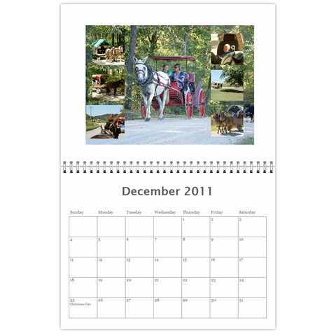 Sommer Calendar 2010  By Rick Conley Dec 2011