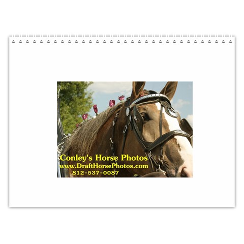 Sommer Calendar 2010  By Rick Conley Last Logo Page