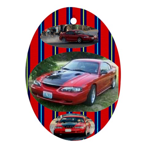 Mustang By Sue Wells Front