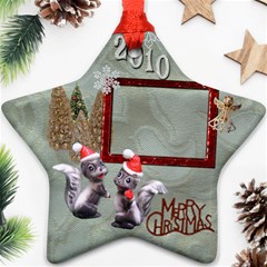 skunk Remember when 2010 ornament 12 - Ornament (Star)