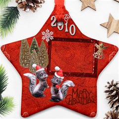 skunk Remember when 2010 ornament 13 - Ornament (Star)