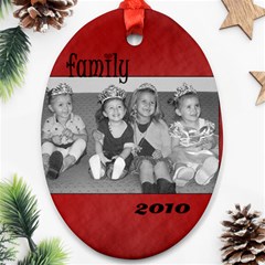 Oval Family 2010 Ornament - Ornament (Oval)