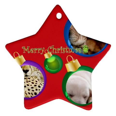Xmas Star By Wood Johnson Front