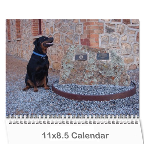 Rotti Puppy Dog Calander By Sharon Hoey Mansfield Cover