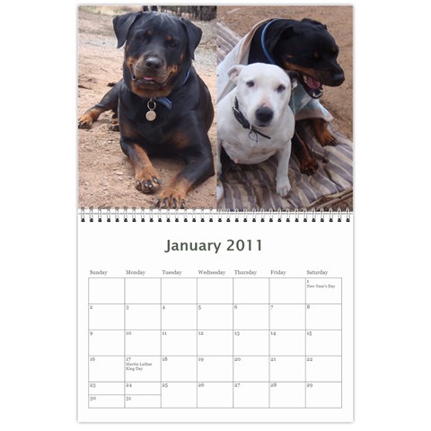 Rotti Puppy Dog Calander By Sharon Hoey Mansfield Jan 2011