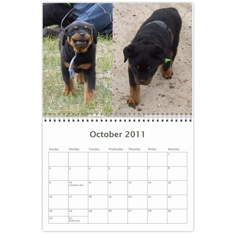 Rotti Puppy Dog Calander By Sharon Hoey Mansfield Oct 2011