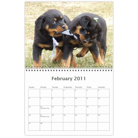 Rotti Puppy Dog Calander By Sharon Hoey Mansfield Feb 2011