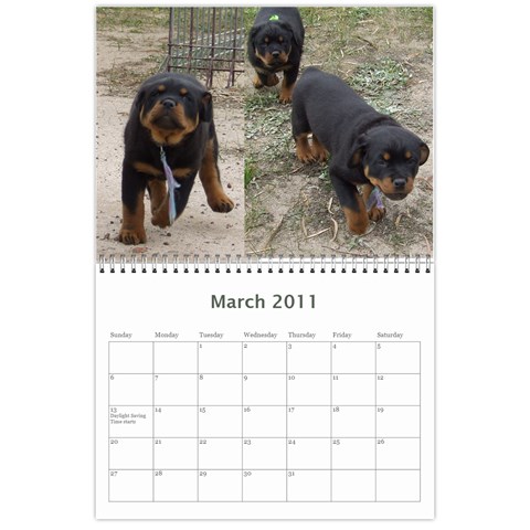 Rotti Puppy Dog Calander By Sharon Hoey Mansfield Mar 2011