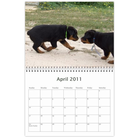 Rotti Puppy Dog Calander By Sharon Hoey Mansfield Apr 2011