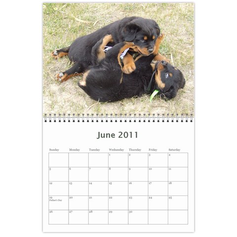 Rotti Puppy Dog Calander By Sharon Hoey Mansfield Jun 2011