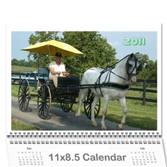 Hester Calendar - Wall Calendar 11  x 8.5  (12-Months)