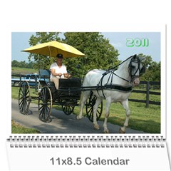 Hester Calendar - Wall Calendar 11  x 8.5  (12-Months)