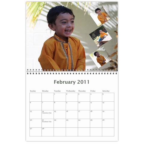 Tejas Calender By Sreelatha Feb 2011