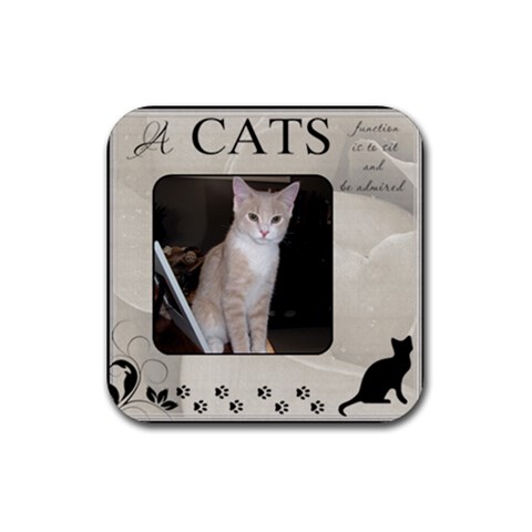 A Cats Function Coaster By Lil Front