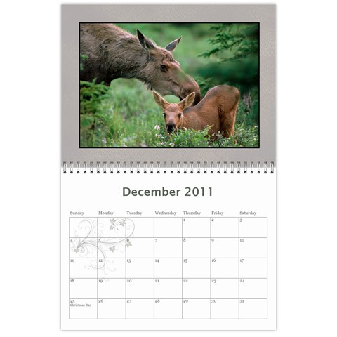 Moose Calendar By Gnose Dec 2011