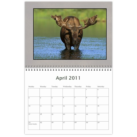Moose Calendar By Gnose Apr 2011