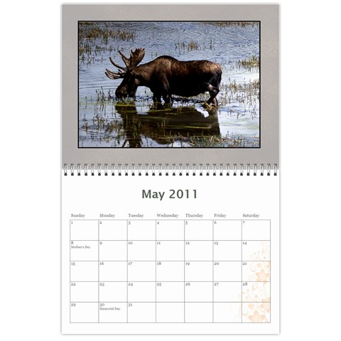Moose Calendar By Gnose May 2011