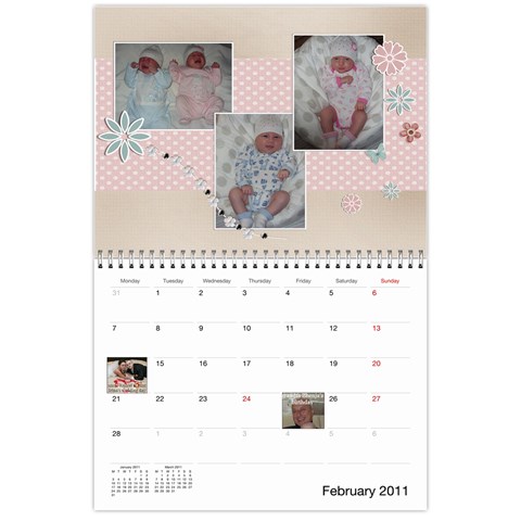 Calendar Feb 2011