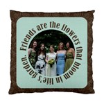 Friends 2 Sided Cushion - Standard Cushion Case (Two Sides)