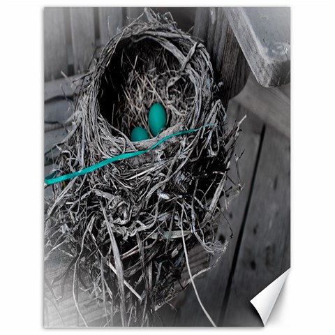Robins Nest Pvleer By Pat Vleer 17.8 x23.08  Canvas - 1