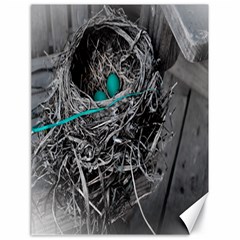 Robins nest PVleer - Canvas 18  x 24 