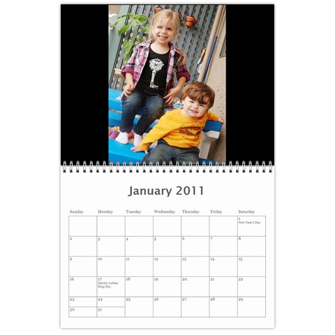2010 Jan 2011