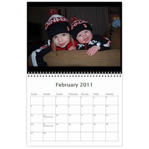 2010 Feb 2011