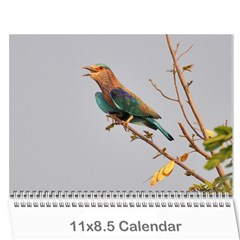 2011 calender - Wall Calendar 11  x 8.5  (12-Months)