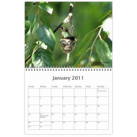 2011 Calender By Rajani Jan 2011