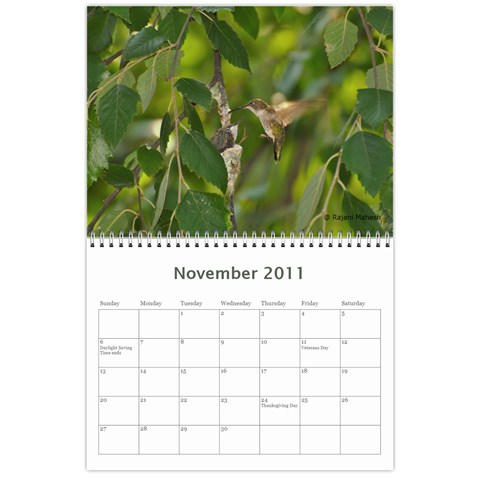 2011 Calender By Rajani Nov 2011