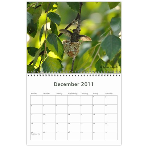 2011 Calender By Rajani Dec 2011