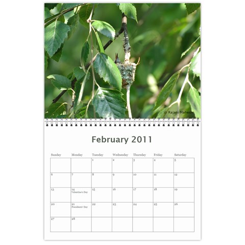 2011 Calender By Rajani Feb 2011