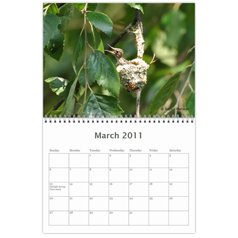2011 Calender By Rajani Mar 2011