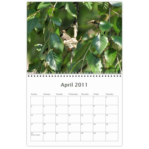 2011 Calender By Rajani Apr 2011