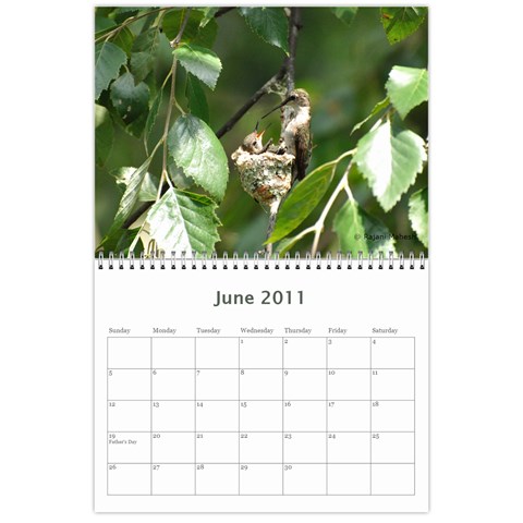 2011 Calender By Rajani Jun 2011