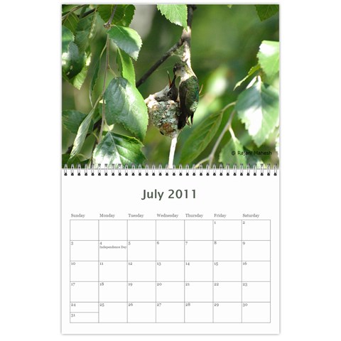 2011 Calender By Rajani Jul 2011