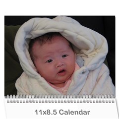 2011 calendar - draft 2 - Wall Calendar 11  x 8.5  (12-Months)