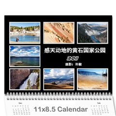 2011 YS - Wall Calendar 11  x 8.5  (12-Months)
