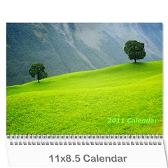 2011 calendar - Wall Calendar 11  x 8.5  (12-Months)