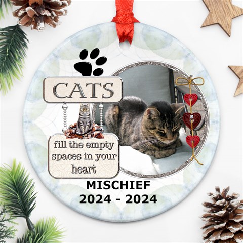 Cat Rememberance One Front
