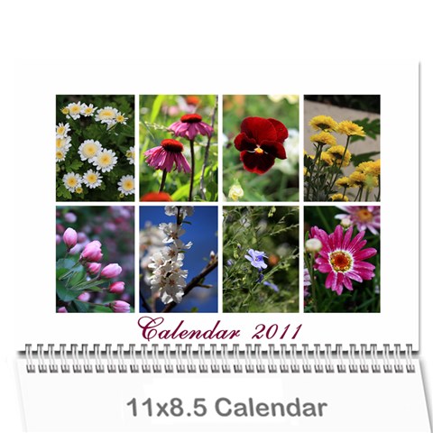 Calendar 2011 By Veena Cover
