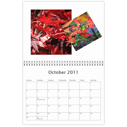 Calendar 2011 By Veena Oct 2011