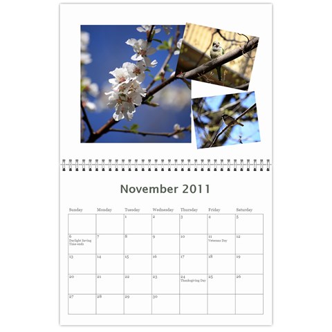 Calendar 2011 By Veena Nov 2011