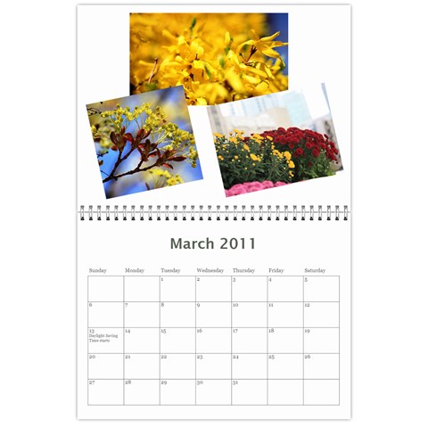 Calendar 2011 By Veena Mar 2011