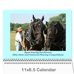 2011 Ryans Calendar  - Wall Calendar 11  x 8.5  (12-Months)