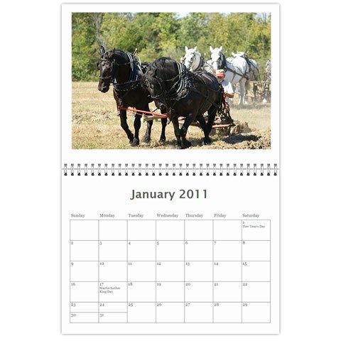 2011 Ryans Calendar  By Rick Conley Jan 2011