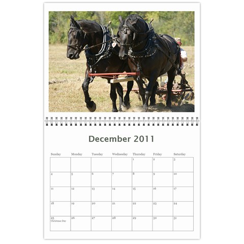 2011 Ryans Calendar  By Rick Conley Dec 2011